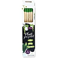 Los mejores  - Cultivea - Lápiz plantable para dibujar - Dibuja y planta - Idea de regalo ecológico (Juego de 6- semillas de flores)